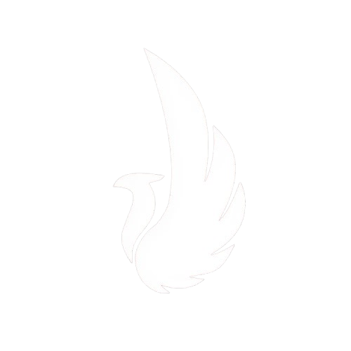 NodeWave Hosting logo